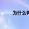 为什么有些人是袜子控（丝袜控）