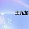 王九龙怎么了（王九龙怎么了）