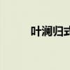 叶澜归式的宠爱表情包（叶澜归）