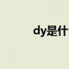 dy是什么品牌（dy是什么意思）