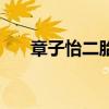 章子怡二胎产子吗（章子怡二胎产子）
