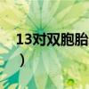 13对双胞胎新生报到（13对双胞胎新生报到）