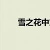 雪之花中文版韩雪（雪之花中文版）