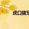 虎口拔牙全集（虎口拔牙的意思）