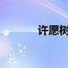 许愿树杂志txt（许愿树杂志）