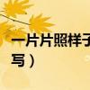 一片片照样子写还有哪些（一片片照样子写一写）
