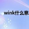 wink什么意思中文名字（wink什么意思）