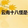 云南十八怪是什么电影（云南十八怪是什么）