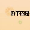 阶下囚是什么（阶下囚是什么意思）