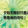 夕阳无限好只是近黄昏是谁写的诗句（夕阳无限好只是近黄昏是谁的诗句）