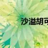 沙溢胡可吻戏（沙溢胡可结婚照）