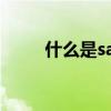 什么是sap操作系统（什么是sap）