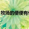 牧场的便便有什么用（qq牧场便便有什么用）