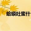 蛤蟆吐蜜什么馅得名（哈莫吐蜜什么馅）