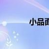 小品面试完整版（小品面试）