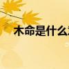 木命是什么意思呢（MM是什么意思呢）