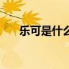 乐可是什么样的人（乐可是什么人物）