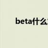 beta什么意思翻译（beta什么意思）