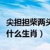 尖担担柴两头重打一生肖（尖担担柴两头脱是什么生肖）