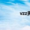 vzz男装是什么牌子（vzz）
