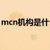 mcn机构是什么缩写（mcn机构是什么意思）