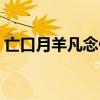 亡口月羊凡念什么组词（亡口月羊凡念什么）