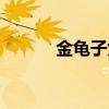 金龟子女儿现状（金龟子女儿）