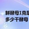 鲜酵母1克是多少干酵母含量（鲜酵母1克是多少干酵母）