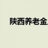 陕西养老金上调新政（陕西养老金上调）
