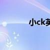 小ck英文全称是什么（小ck）