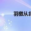 羽檄从北来的意思（羽檄从北来）