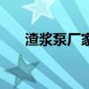 渣浆泵厂家排名前十家（渣浆泵厂家）