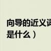 向导的近义词是什么最佳答案（向导的近义词是什么）