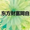 东方财富网自选股下载（东方财富网自选股）