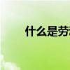 什么是劳动成果(什么是劳动定额) 什么是劳动成果(什么是劳动定额)