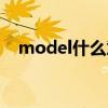 model什么意思中文（model什么意思）