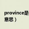 province是什么意思翻译（province是什么意思）