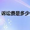 诉讼费是多少什么时候缴纳（诉讼费是多少）