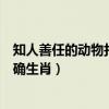 知人善任的动物打正确生肖是什么肖（知人善任的动物打正确生肖）