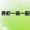 养虾一亩一般赚多少（养虾一亩一般赚多少）