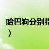 哈巴狗分别指哪类人（哈巴狗分别指哪一类人）