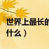 世界上最长的运河是啥（世界上最长的运河是什么）