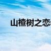 山楂树之恋老三（山楂树之恋老三原型）