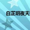 白芷玥夜天璟的小说免费阅读（白芷玥）