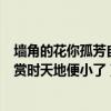 墙角的花你孤芳自赏时天地便小了含义（墙角的花你孤芳自赏时天地便小了）