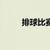 排球比赛用球（排球比赛记录表）