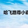 哈飞路尊小霸王面包车（哈飞路尊小霸王）