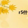 r5什么意思（r5什么意思）