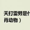 天打雷劈是什么生肖动物（天打雷劈是什么生肖动物）