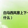 白马西风塞上下一句是什么四年级（白马西风塞上下一句是什么）